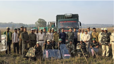 Photo of मध्य प्रदेश: कान्हा से सतपुड़ा टाइगर रिजर्व भेजे गये नौ बारासिंघा